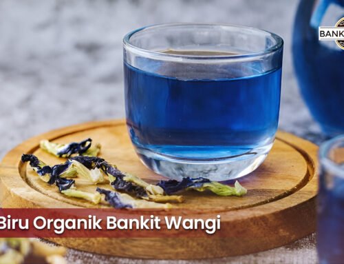 Resep Membuat Teh Biru Organik : Ala Bankit Wangi